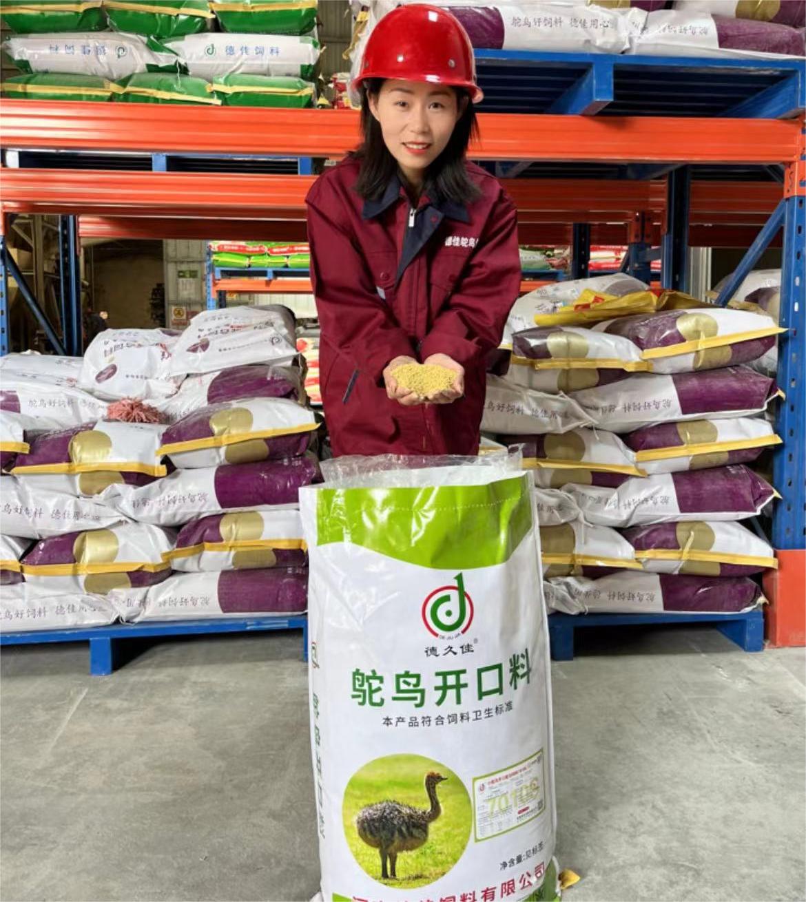 創(chuàng)新領(lǐng)先的河南德佳7010S飼料，讓您的小鴕鳥健康成長無憂慮！